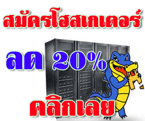 โฮสเกเตอร์